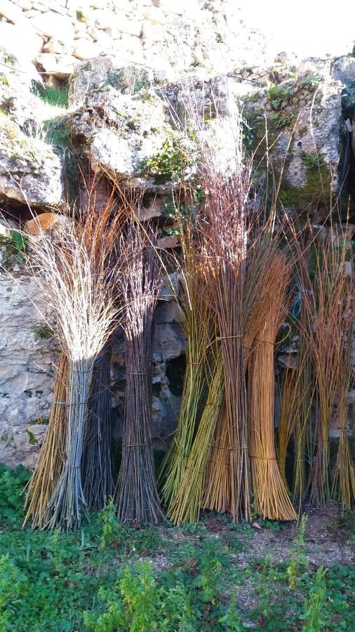 L'Oseraie Du Quercy Calvignac Buitenkant foto